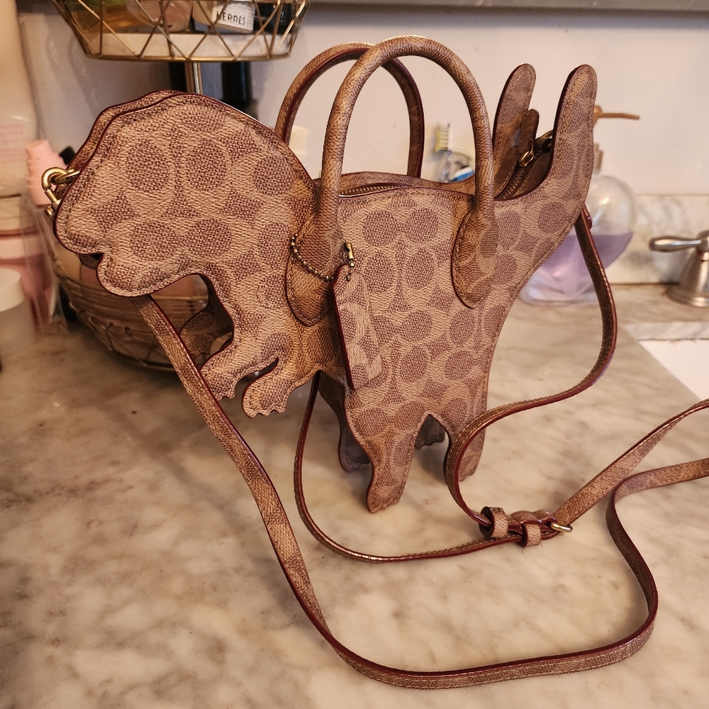 Coach Rexy Crossbody Bag